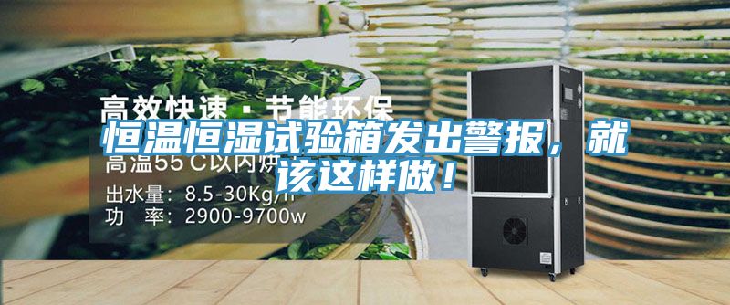 恒溫恒濕試驗(yàn)箱發(fā)出警報(bào),就該這樣做!