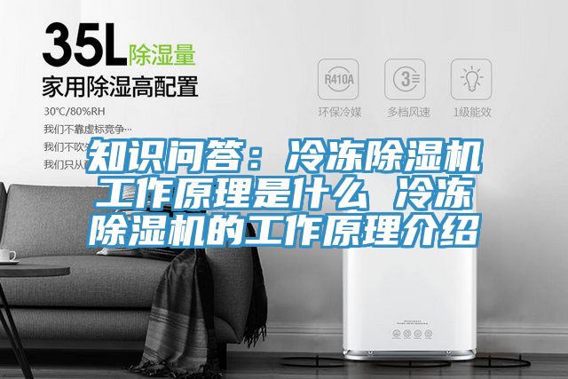 知識問答：冷凍除濕機(jī)工作原理是什么 冷凍除濕機(jī)的工作原理介紹