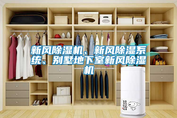 新風除濕機、新風除濕系統、別墅地下室新風除濕機