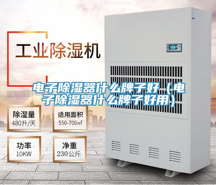 電子除濕器什么牌子好(電子除濕器什么牌子好用)