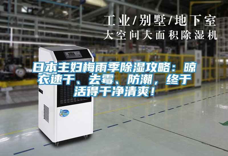 日本主婦梅雨季除濕攻略:晾衣速干、去霉、防潮,終于活得干凈清爽!