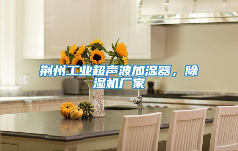 荊州工業(yè)超聲波加濕器,除濕機廠家