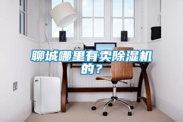 聊城哪里有賣除濕機的？