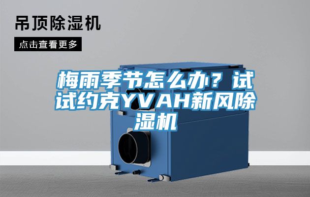 梅雨季節怎么辦？試試約克YVAH新風除濕機