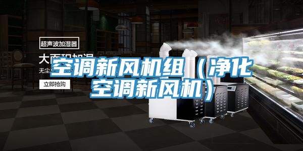 空調(diào)新風(fēng)機(jī)組(凈化空調(diào)新風(fēng)機(jī))