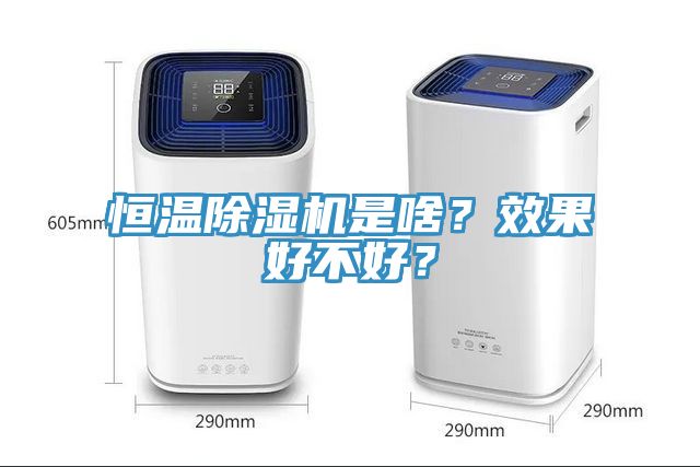 恒溫除濕機是啥？效果好不好？
