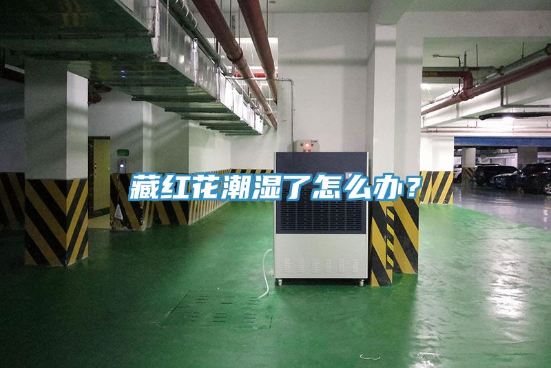 藏紅花潮濕了怎么辦?