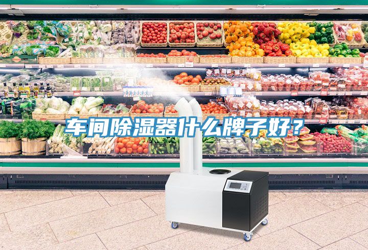 車間除濕器什么牌子好？