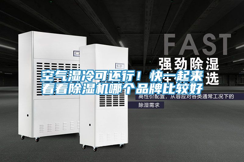 空氣濕冷可還行！快一起來看看除濕機(jī)哪個(gè)品牌比較好