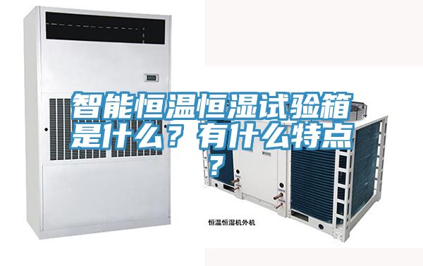 智能恒溫恒濕試驗箱是什么？有什么特點？