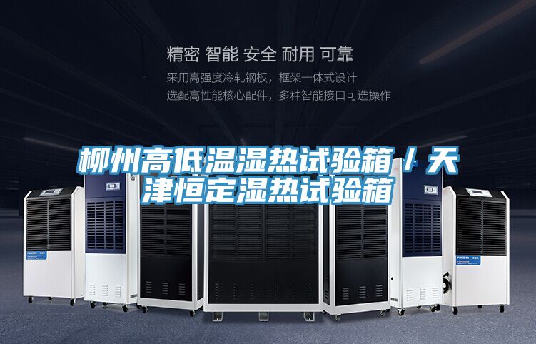 柳州高低溫濕熱試驗(yàn)箱/天津恒定濕熱試驗(yàn)箱