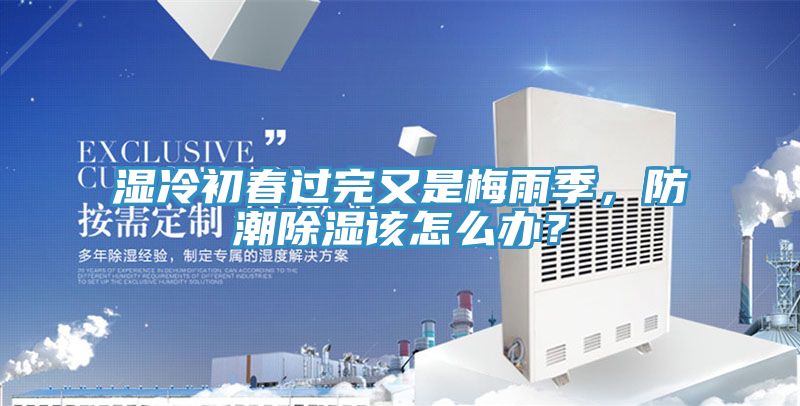 濕冷初春過(guò)完又是梅雨季,防潮除濕該怎么辦?