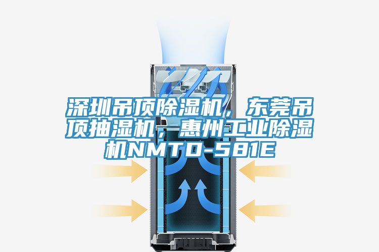 深圳吊頂除濕機，東莞吊頂抽濕機，惠州工業除濕機NMTD-581E