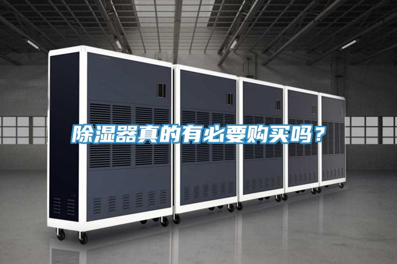 除濕器真的有必要購(gòu)買(mǎi)嗎?