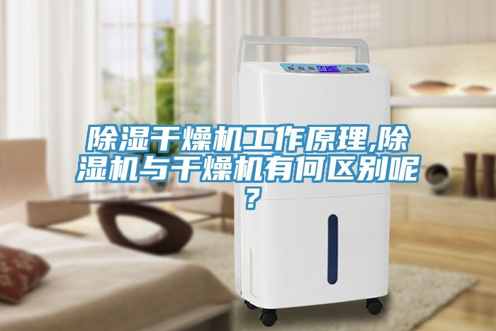 除濕干燥機工作原理,除濕機與干燥機有何區別呢?