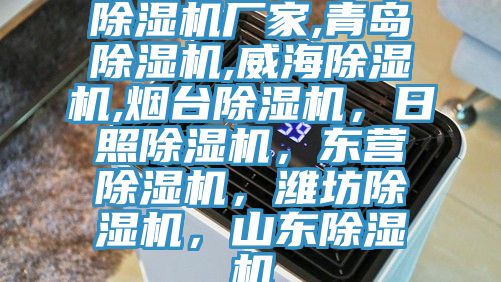 除濕機廠家,青島除濕機,威海除濕機,煙臺除濕機，日照除濕機，東營除濕機，濰坊除濕機，山東除濕機