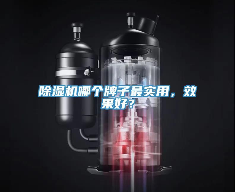 除濕機哪個牌子最實用，效果好？