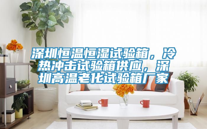 深圳恒溫恒濕試驗(yàn)箱,冷熱沖擊試驗(yàn)箱供應(yīng),深圳高溫老化試驗(yàn)箱廠家