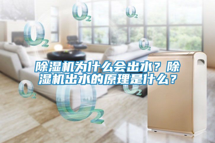 除濕機為什么會出水？除濕機出水的原理是什么？