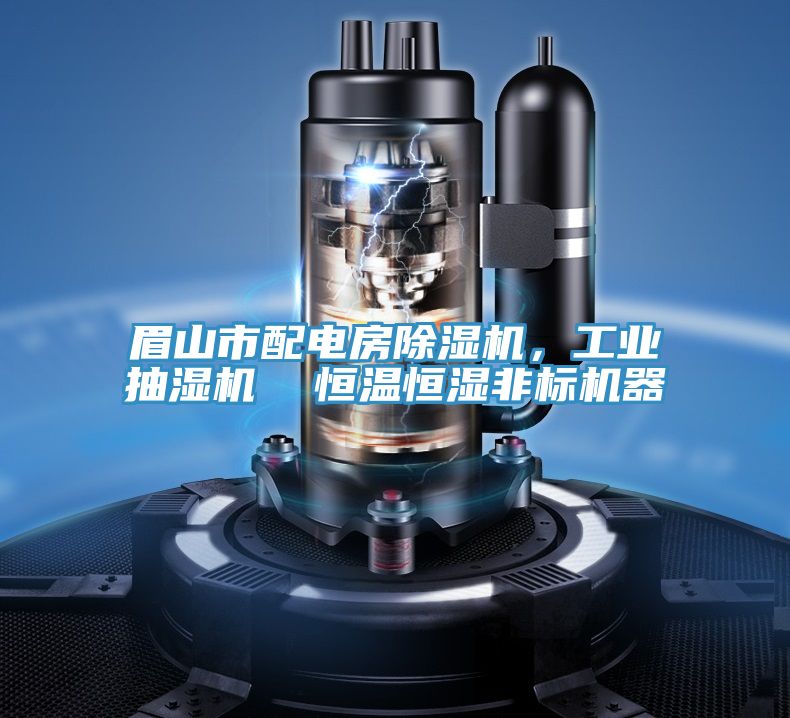 眉山市配電房除濕機，工業抽濕機  恒溫恒濕非標機器