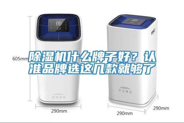 除濕機什么牌子好?認準品牌選這幾款就夠了