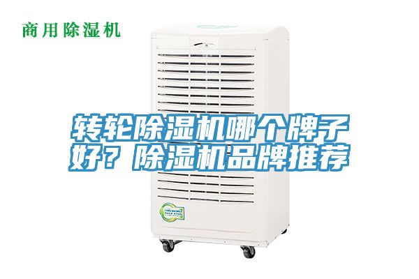 轉輪除濕機哪個牌子好?除濕機品牌推薦