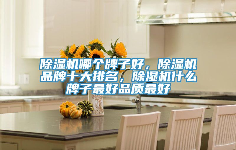 除濕機(jī)哪個(gè)牌子好，除濕機(jī)品牌十大排名，除濕機(jī)什么牌子最好品質(zhì)最好