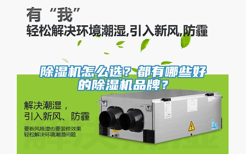 除濕機怎么選？都有哪些好的除濕機品牌？
