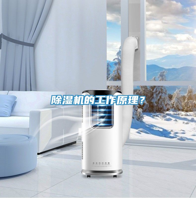 除濕機的工作原理?