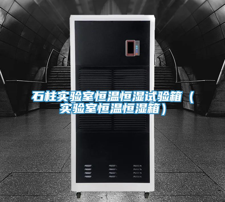 石柱實驗室恒溫恒濕試驗箱(實驗室恒溫恒濕箱)