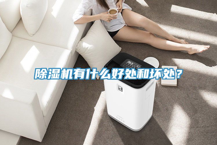 除濕機(jī)有什么好處和壞處?