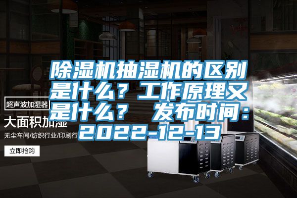除濕機抽濕機的區別是什么?工作原理又是什么? 發布時間:2022-12-13