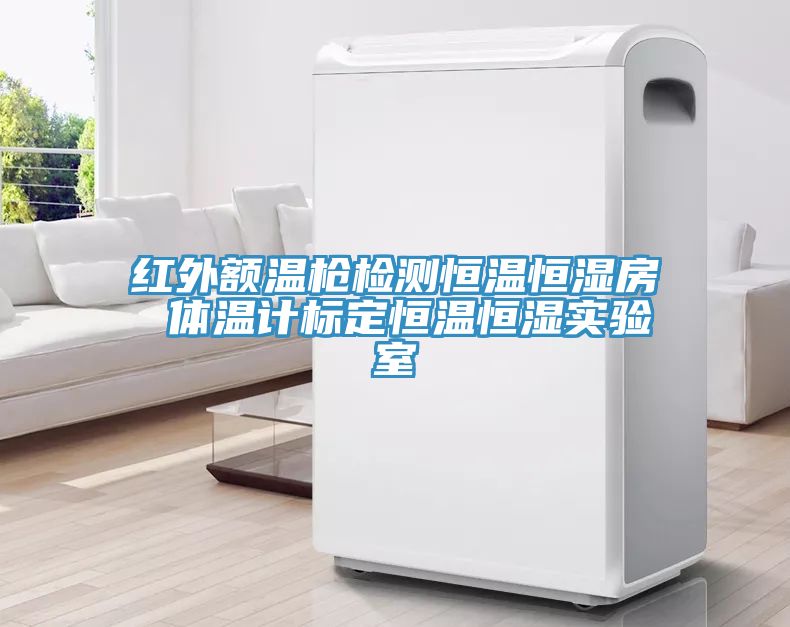 紅外額溫槍檢測恒溫恒濕房 體溫計標(biāo)定恒溫恒濕實(shí)驗(yàn)室