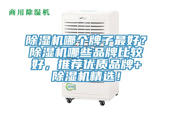 除濕機哪個牌子最好？除濕機哪些品牌比較好，推薦優質品牌+除濕機精選！