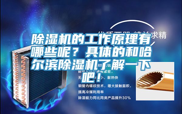 除濕機(jī)的工作原理有哪些呢?具體的和哈爾濱除濕機(jī)了解一下吧!