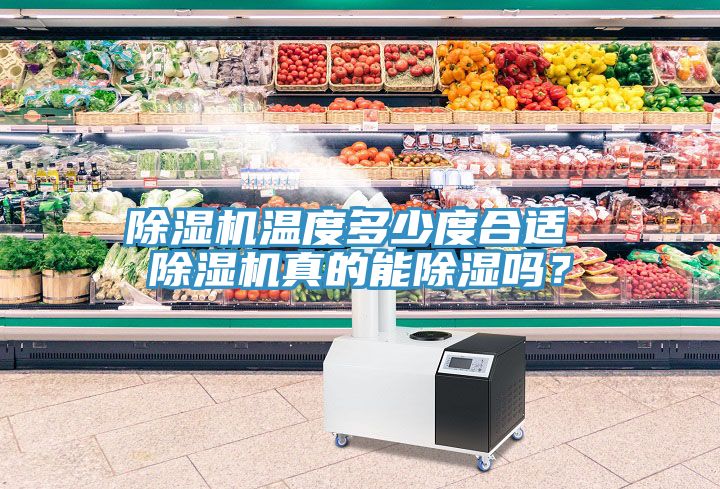 除濕機(jī)溫度多少度合適 除濕機(jī)真的能除濕嗎？